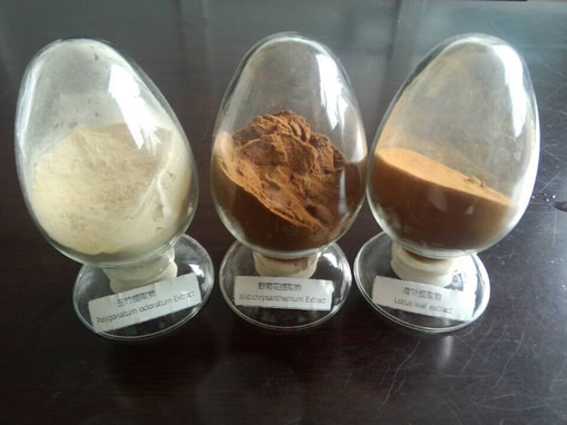玉竹提取物，菊花提取物，荷葉提取物