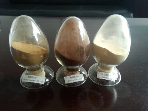 連翹提取物，地黃提取物，大棗提取物