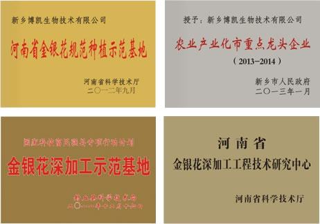 封丘、平邑、巨鹿，哪里的金銀花最好？